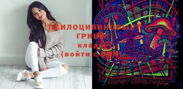 дживик Алзамай