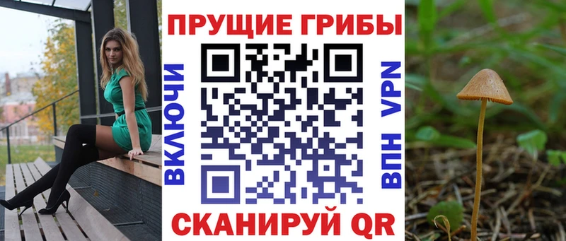 дарнет шоп  Моздок  Галлюциногенные грибы GOLDEN TEACHER 